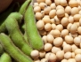 Giá đậu nành bao nhiêu 1kg