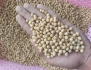Giá hạt đậu nành hôm nay anlocfood.com