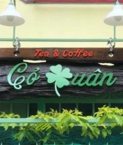 Quán Cafe Cổ Xưa Yên Tĩnh Tân Phú