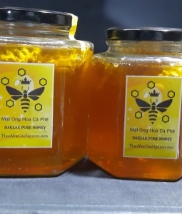 4 lý do giải thích “vì sao mật ong hoa cà phê vừa rẻ mà lại ngon”