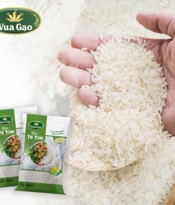 Chọn nguồn cung cấp gạo từ thiện giá rẻ tphcm