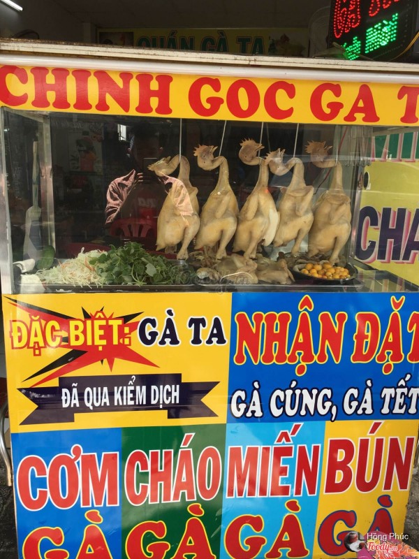 Quán ăn, ẩm thực: Quán Cơm Gà, Gỏi Gà Ngon Quận 6 Ga-ta%20(2)%20(Custom)