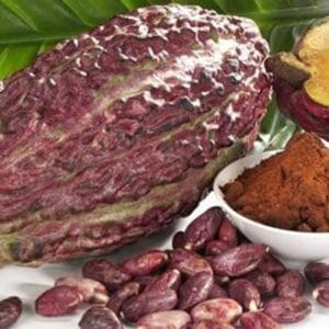 Quán ăn, ẩm thực: Cung Cấp Nguyên Liệu Làm Chả, Nguyên Liệu Làm Bánh Bot-ca-cacao