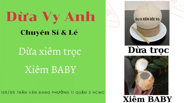 Chuyên Sỉ Và Lẻ Dừa Xiêm Trọc, Xiêm Baby Duavyanh%20(1)