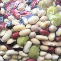 Hạt đậu tươi Đà Lạt - Sự lựa chọn hoàn hảo cho chế độ ăn giàu dinh dưỡng
