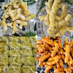Cung Cấp Củ Riềng Tươi Xuất Khẩu, Cung Cấp Riềng Xay