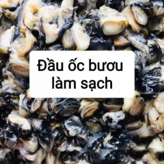 Cung Cấp Đầu Ốc Bươu Làm Sạch