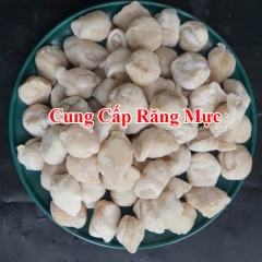 Cung Cấp Răng Mực