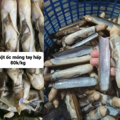 Cung Cấp Ruột Ốc Móng Tay Hấp