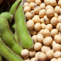 Giá đậu nành bao nhiêu 1kg