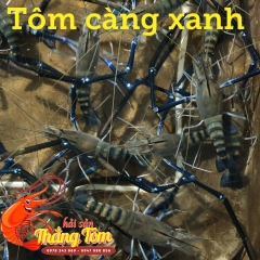 Tôm Càng Sen Lột Nhiều Gạch Sống Tươi Ngon Tại Thắng Tôm