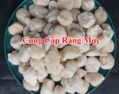 Cung Cấp Răng Mực