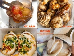 Ốc Lan - Quán Ốc Ngon Phú Nhuận