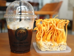 Cafe Đông Trùng Hạ Thảo, Trà Đông Trùng Hạ Thảo - Cung Cấp Nấm