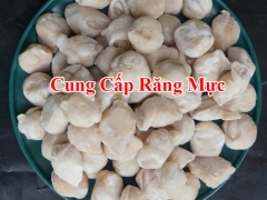 Cung Cấp Răng Mực