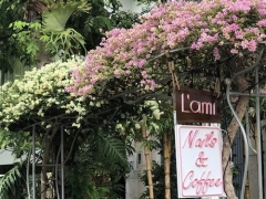 Lami Nails Coffee - Nơi Thư Giãn Làm Đẹp Hoàn Hảo