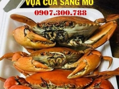 Vựa Cua Sang Mơ Cung Cấp Sỉ lẻ Cua Cà Mau