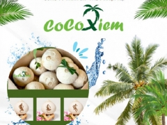 Cung Cấp Dừa Xiêm Bến Tre TPHCM
